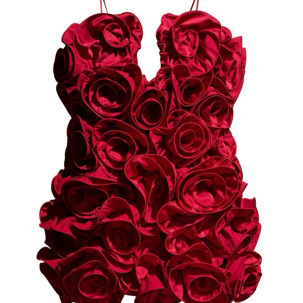 Limited edition signature red rose dress by Magda Butrym x HM